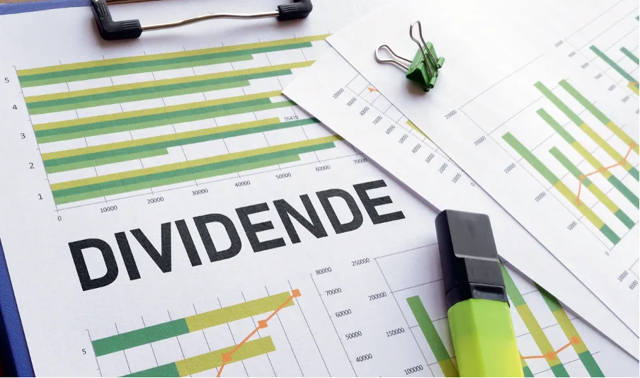 Dividendna politika odvraća male ulagače od dionica – Business Magazine