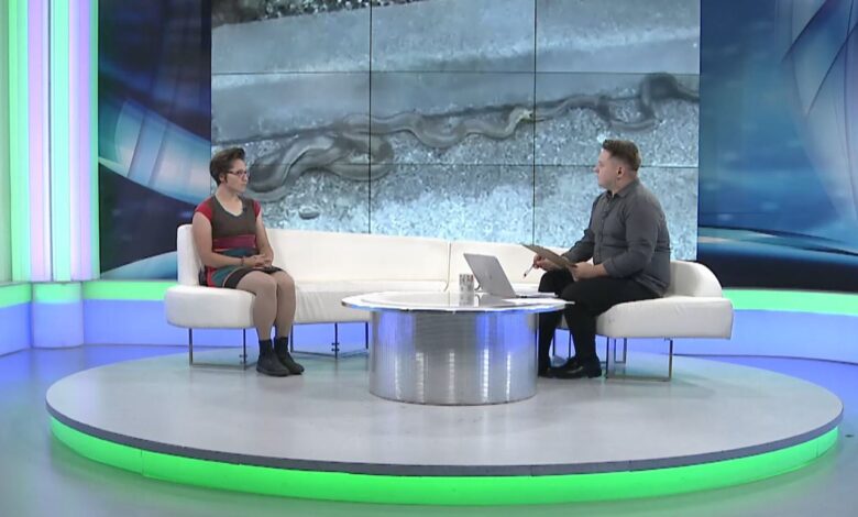 VIDEO/Šunje: Najezde zmija nema, u maju i junu ih viđamo samo zbog jedne stvari