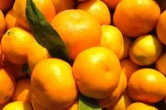 Mandarine u Hrvatskoj oko 3 eura, otkupna cijena 60 centi