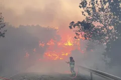 Podmetanje požara na Pelješcu: Sezonskom kuharu iz Čapljine određen pritvor