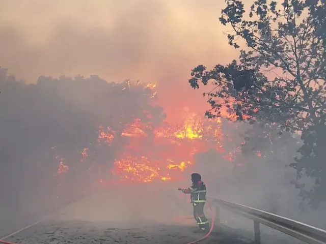 Podmetanje požara na Pelješcu: Sezonskom kuharu iz Čapljine određen pritvor