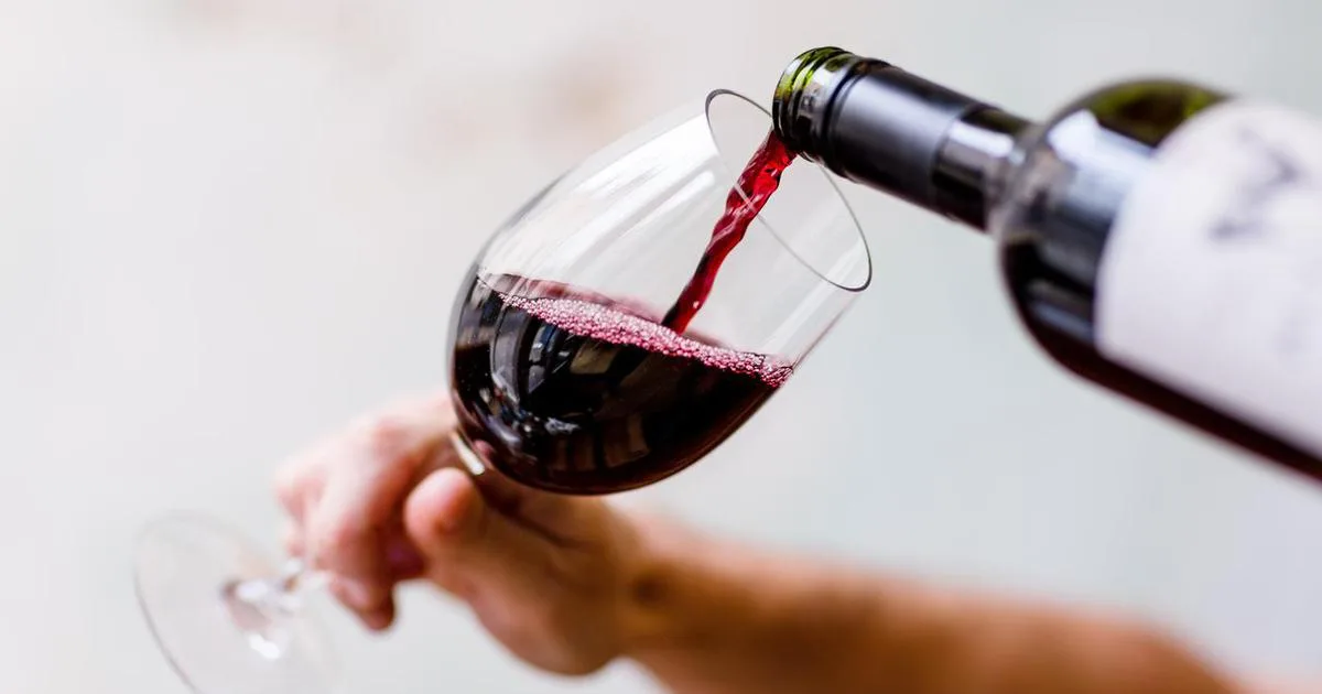 Ukrali 30.000 boca vina vrijednih pet milijuna eura, u vinariji ljudi plakali u nevjerici