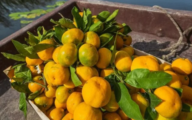 Šta se dešava u tijelu ako svakog dana JEDETE MANDARINE: Važi za najzdravije jesenje voće, ali postoji jedna “zamka”